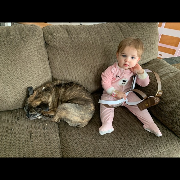 Meet your Posher, Mandy - Picture 6 of 6